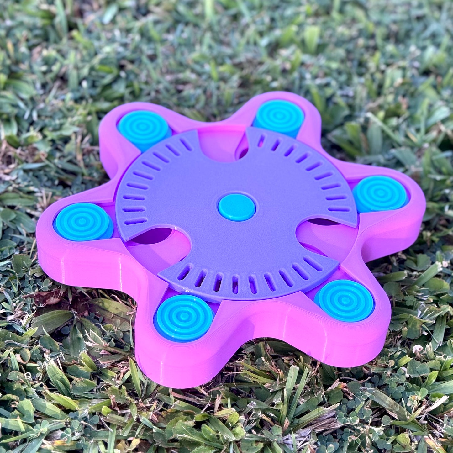 Starfish Treat Puzzle