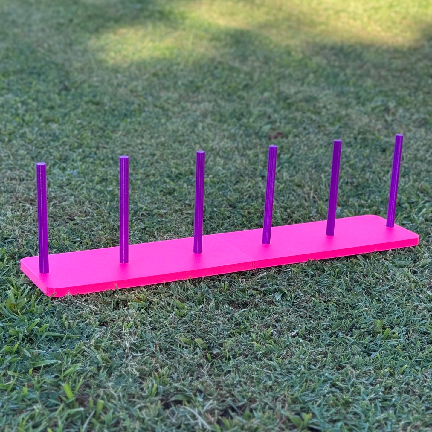 Rat Agility Set - Complete Training Course