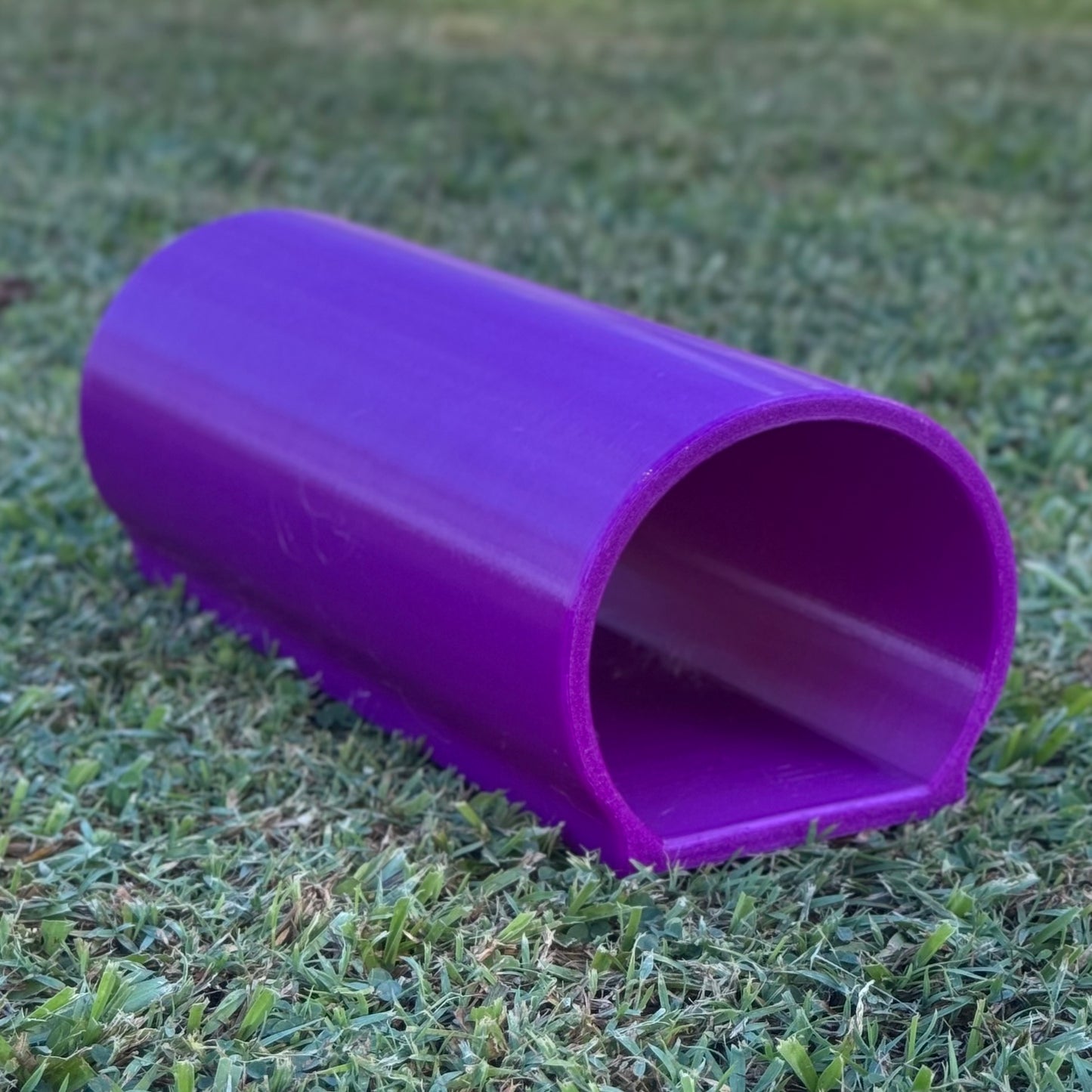 Rat Agility Set - Complete Training Course