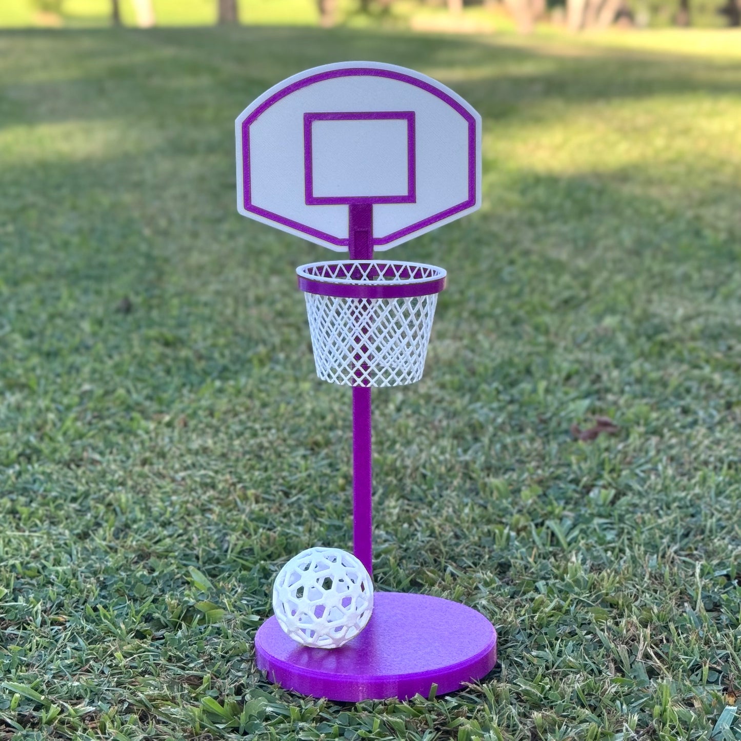 Rat Agility Set - Complete Training Course