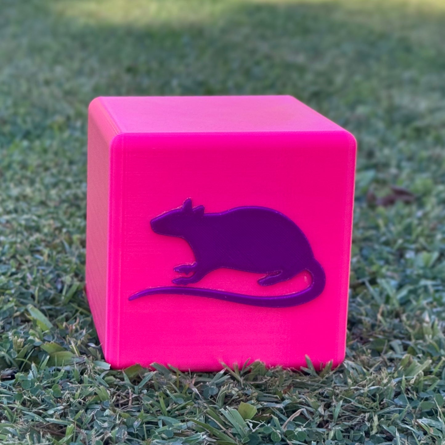Rat Agility Set - Complete Training Course