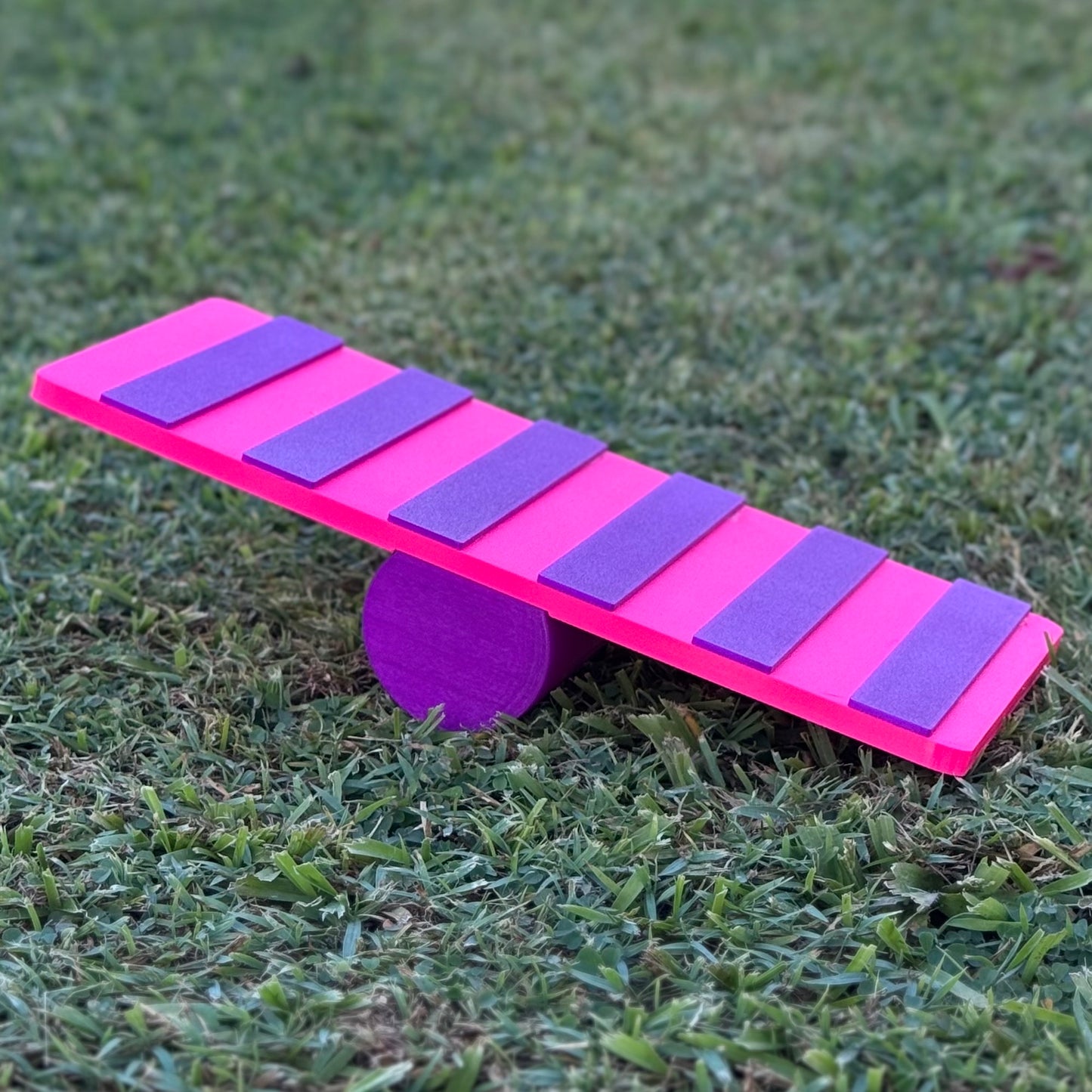 Rat Agility Set - Complete Training Course