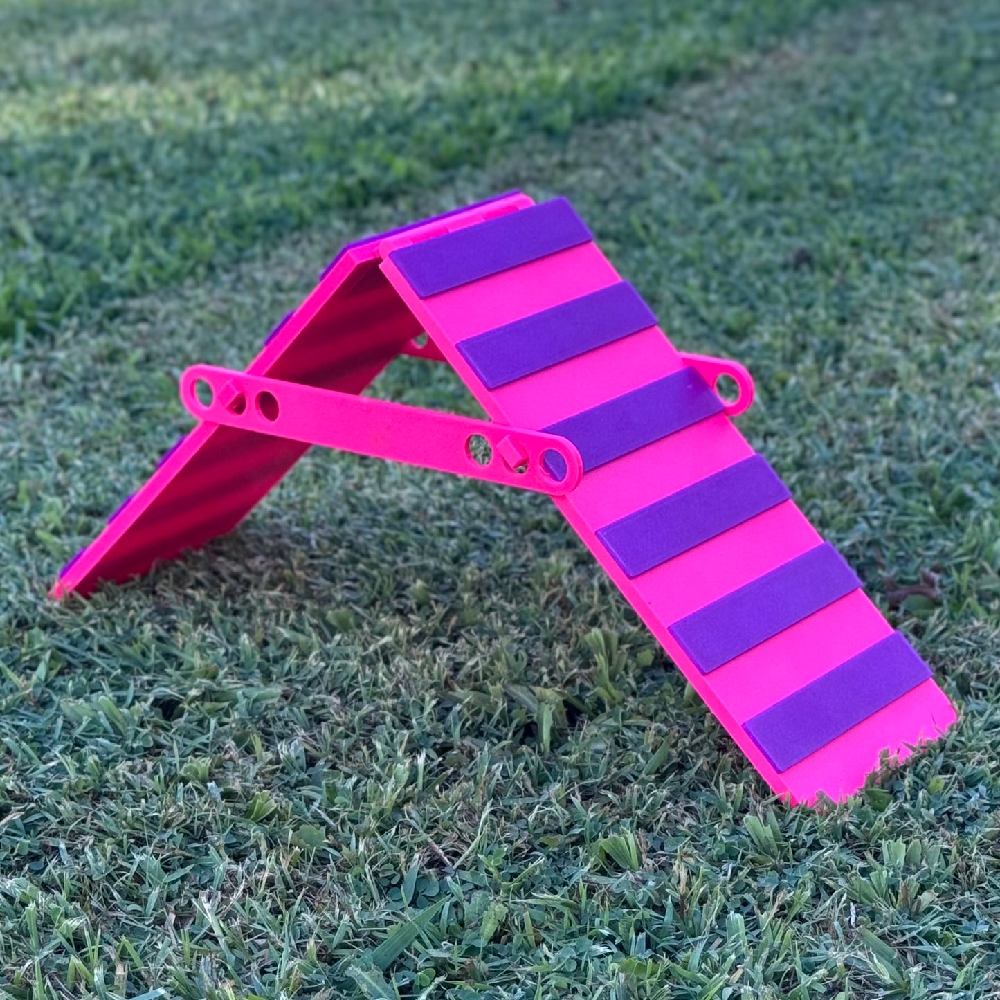 Rat Agility Set - Complete Training Course