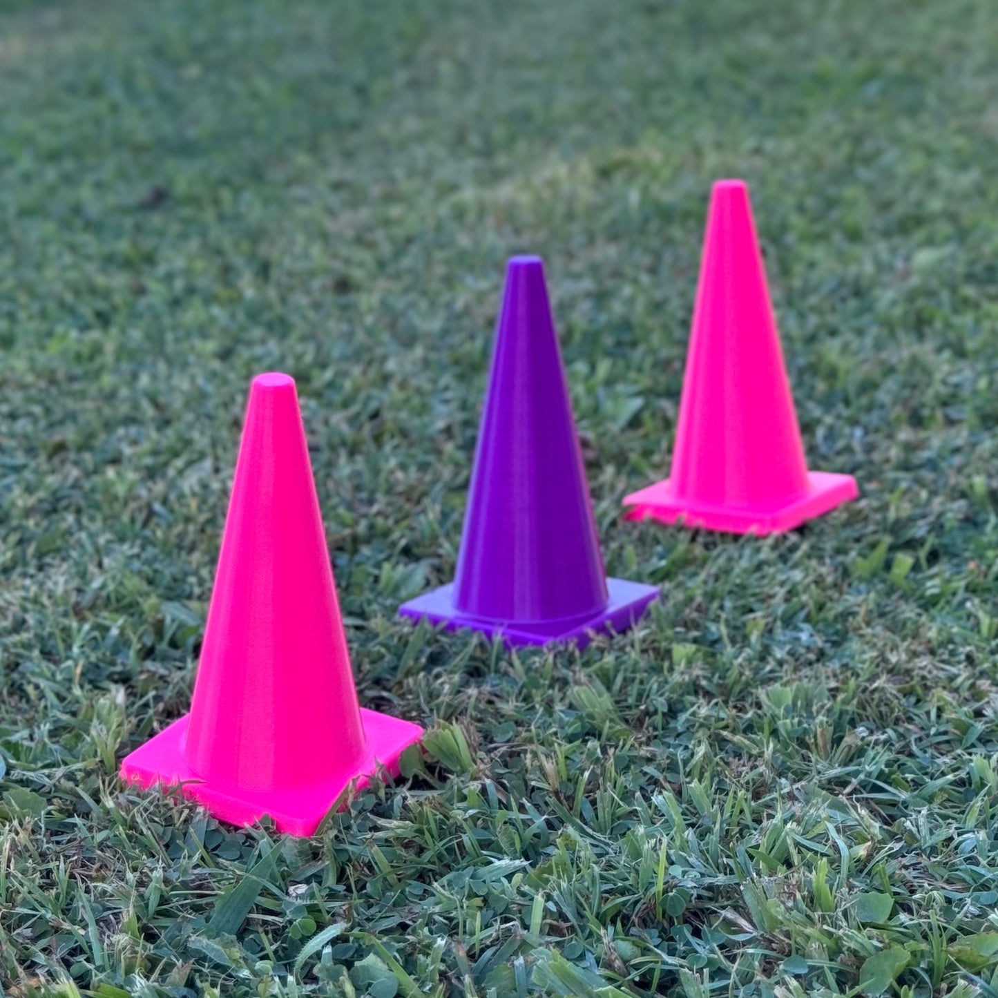 Rat Agility Set - Complete Training Course