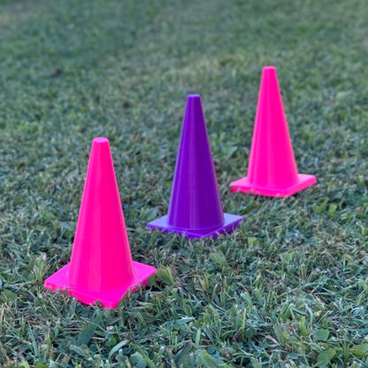 Rat Agility Set - Complete Training Course