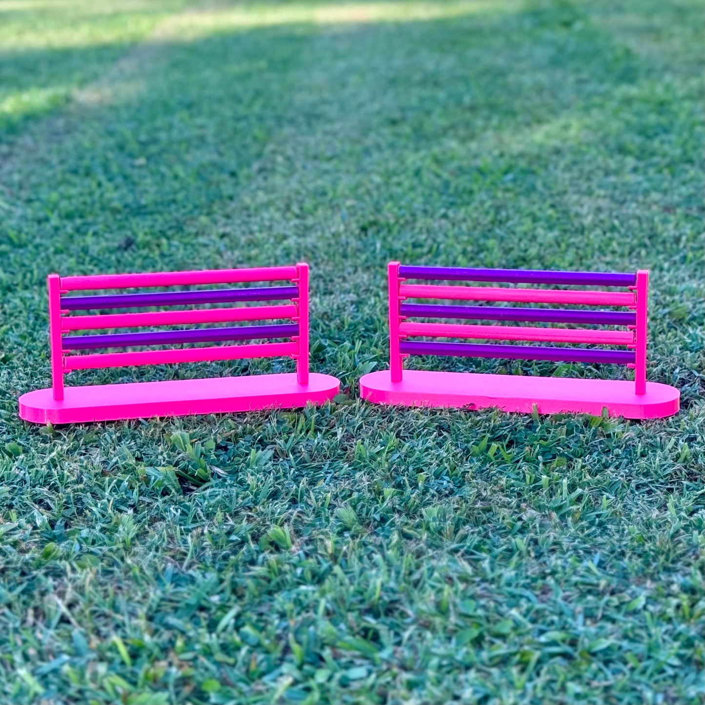 Rat Agility Set - Complete Training Course