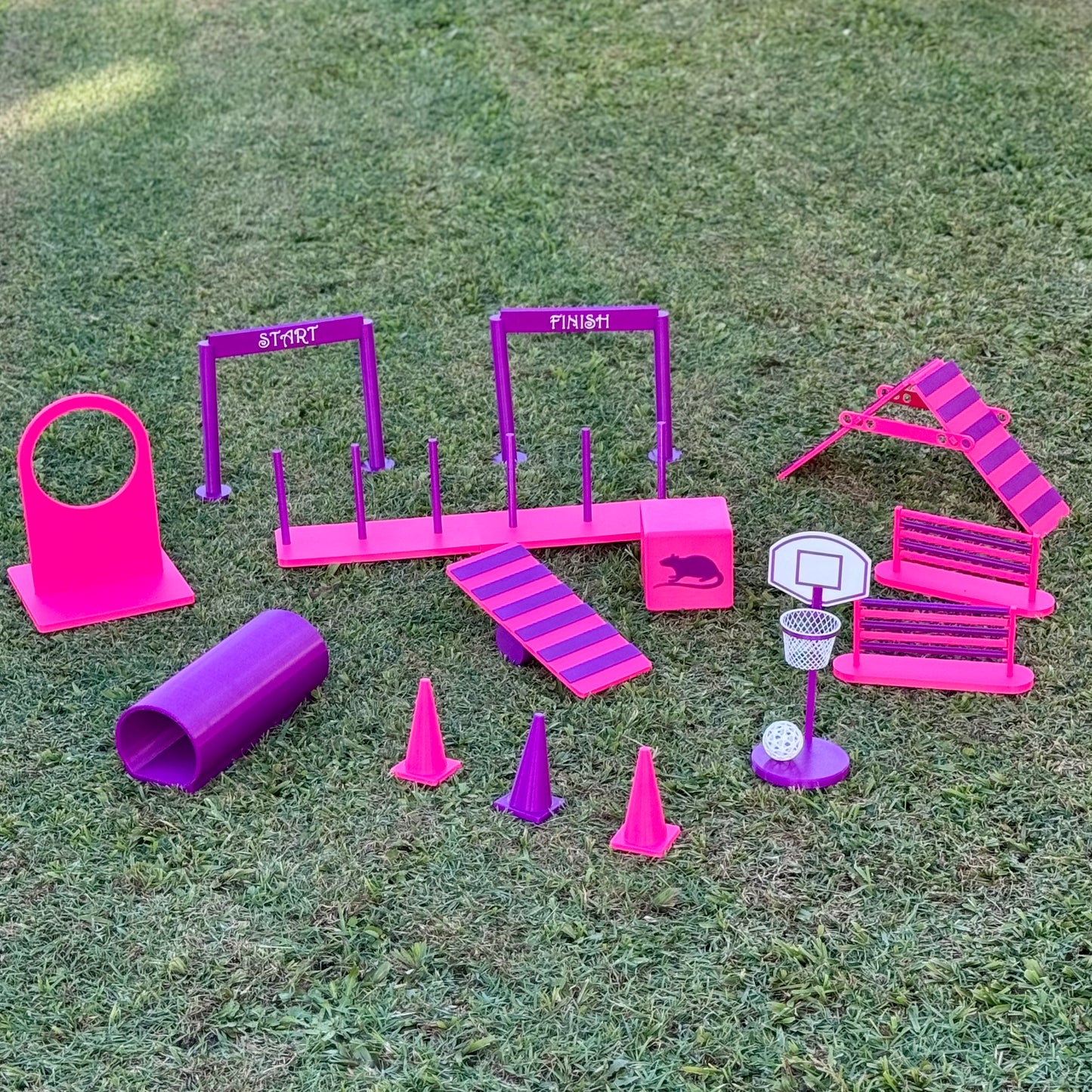 Rat Agility Set - Complete Training Course