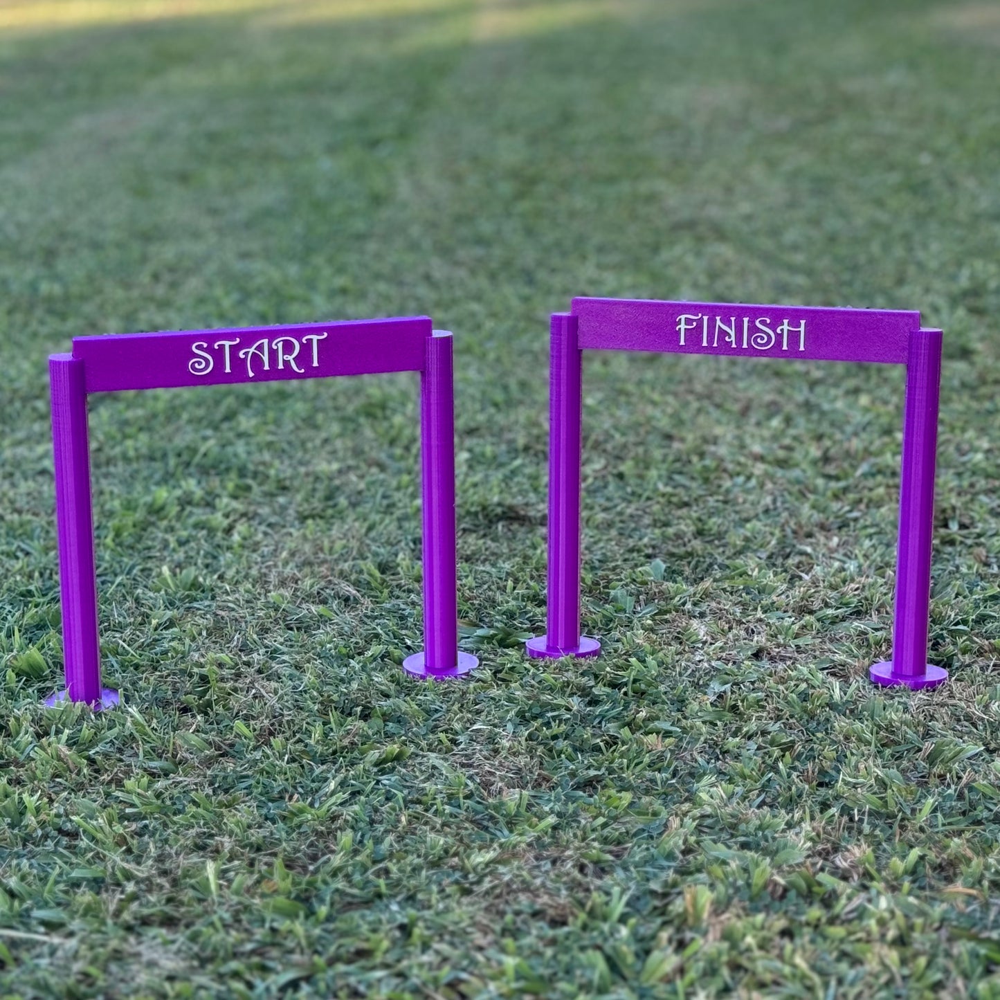 Rat Agility Set - Complete Training Course