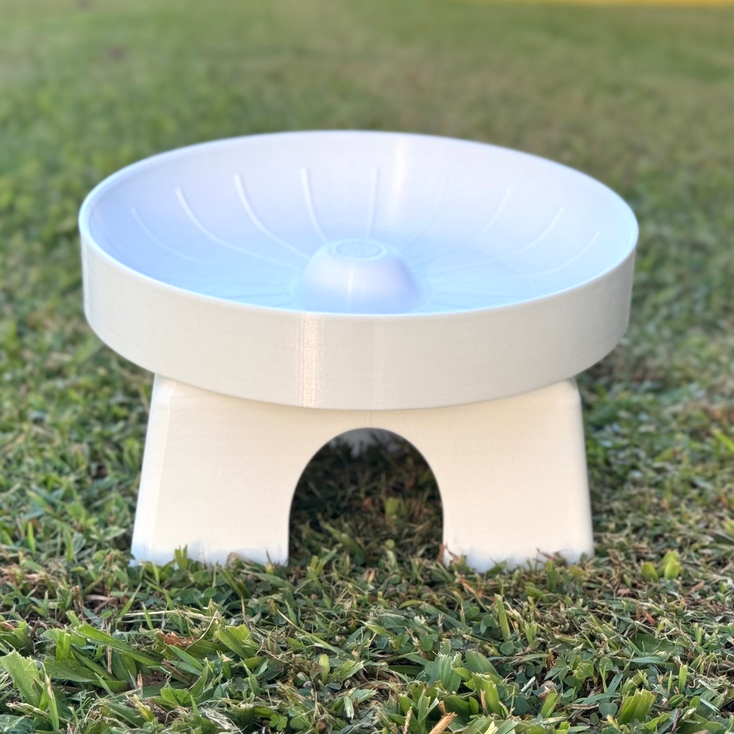 Mouse Saucer Wheel with House - 2-in-1 Exercise & Hideout