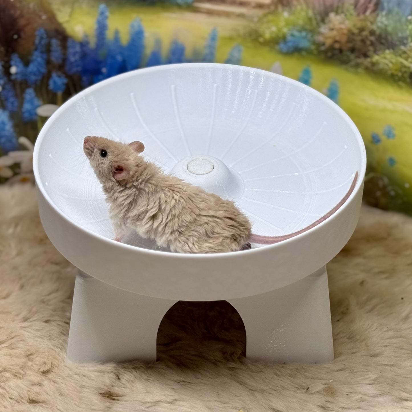 Mouse Saucer Wheel with House - 2-in-1 Exercise & Hideout