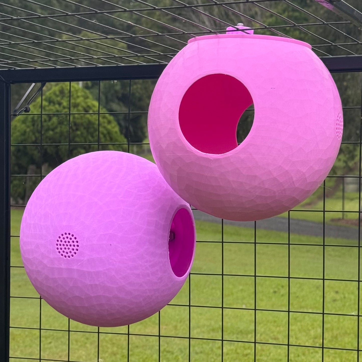 Rat Cuddle Cave - Multi-Rat Hideout