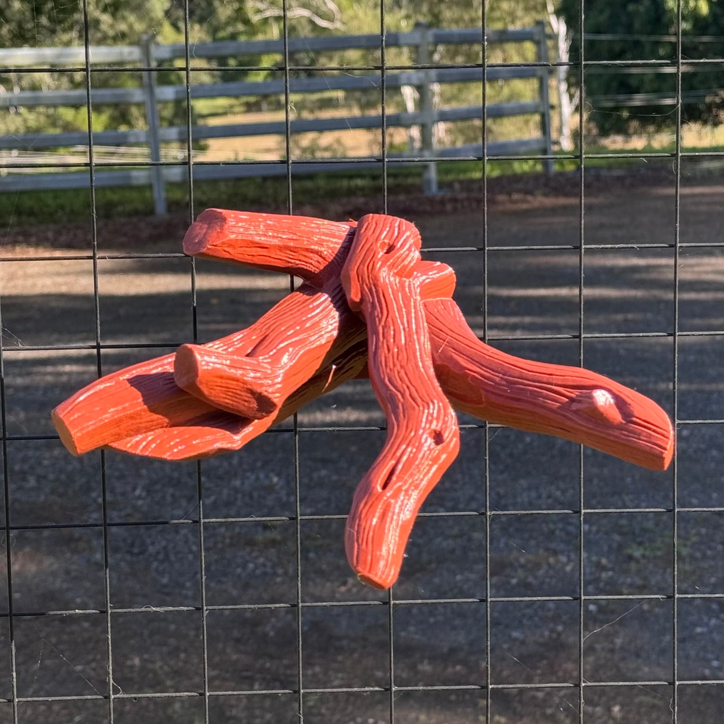 Multi Branch Climber