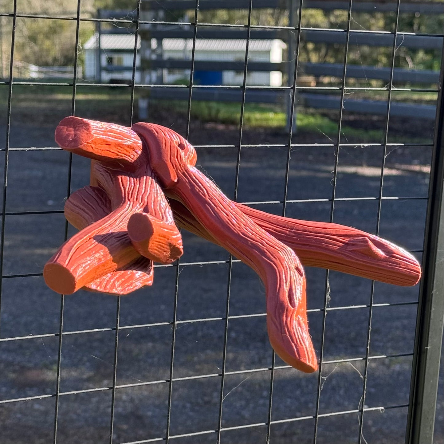 Multi Branch Climber
