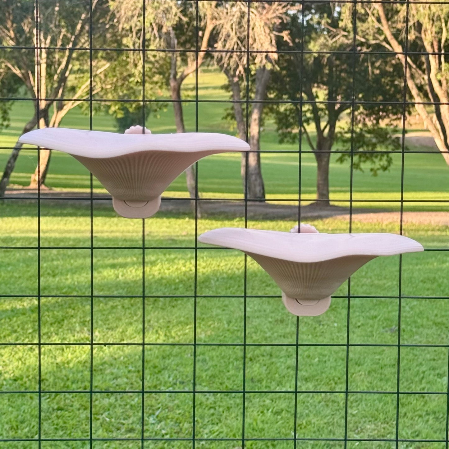 Mushroom Shelf A
