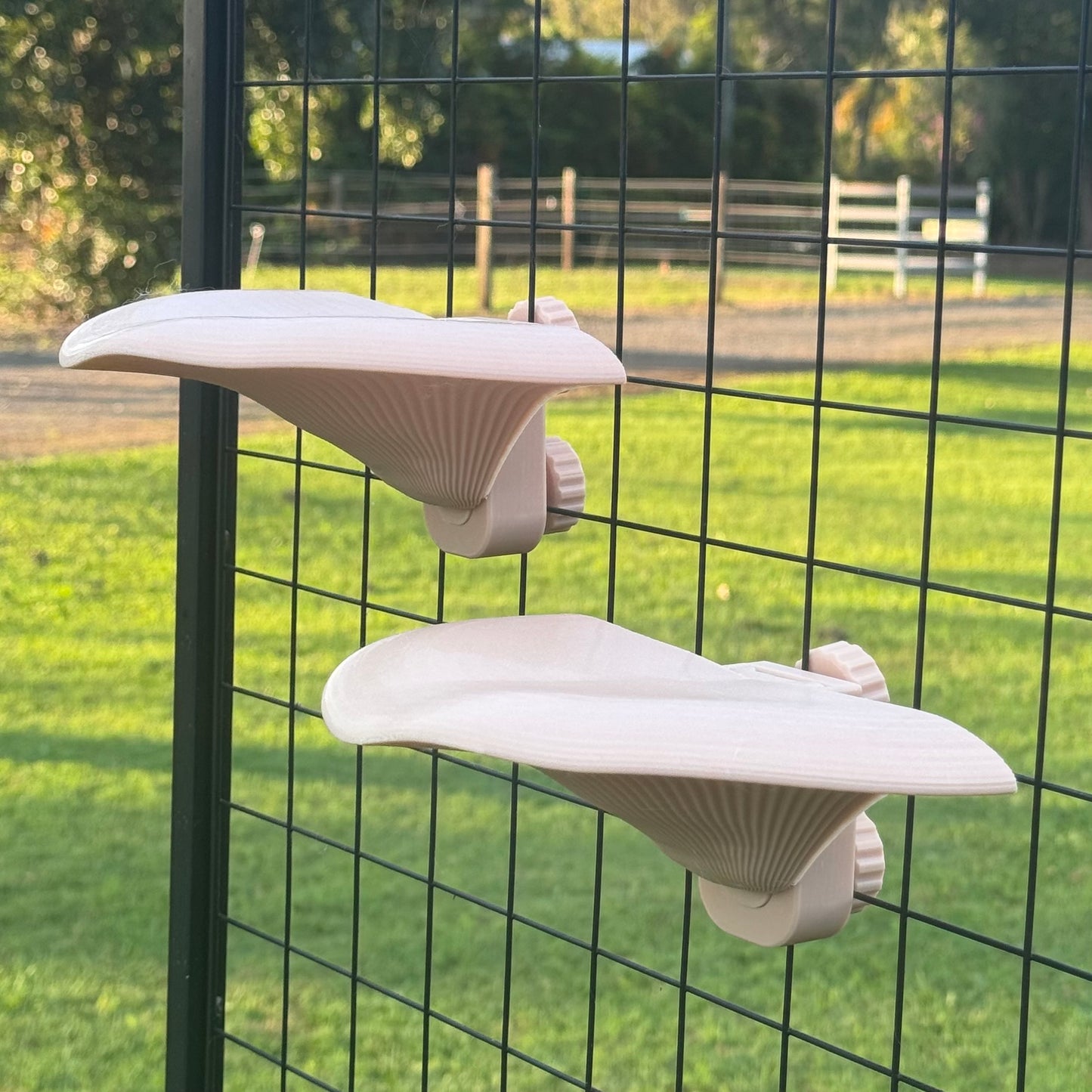 Mushroom Shelf A
