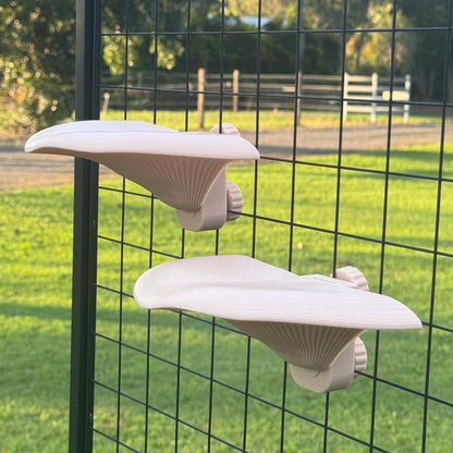 Mushroom Shelf A