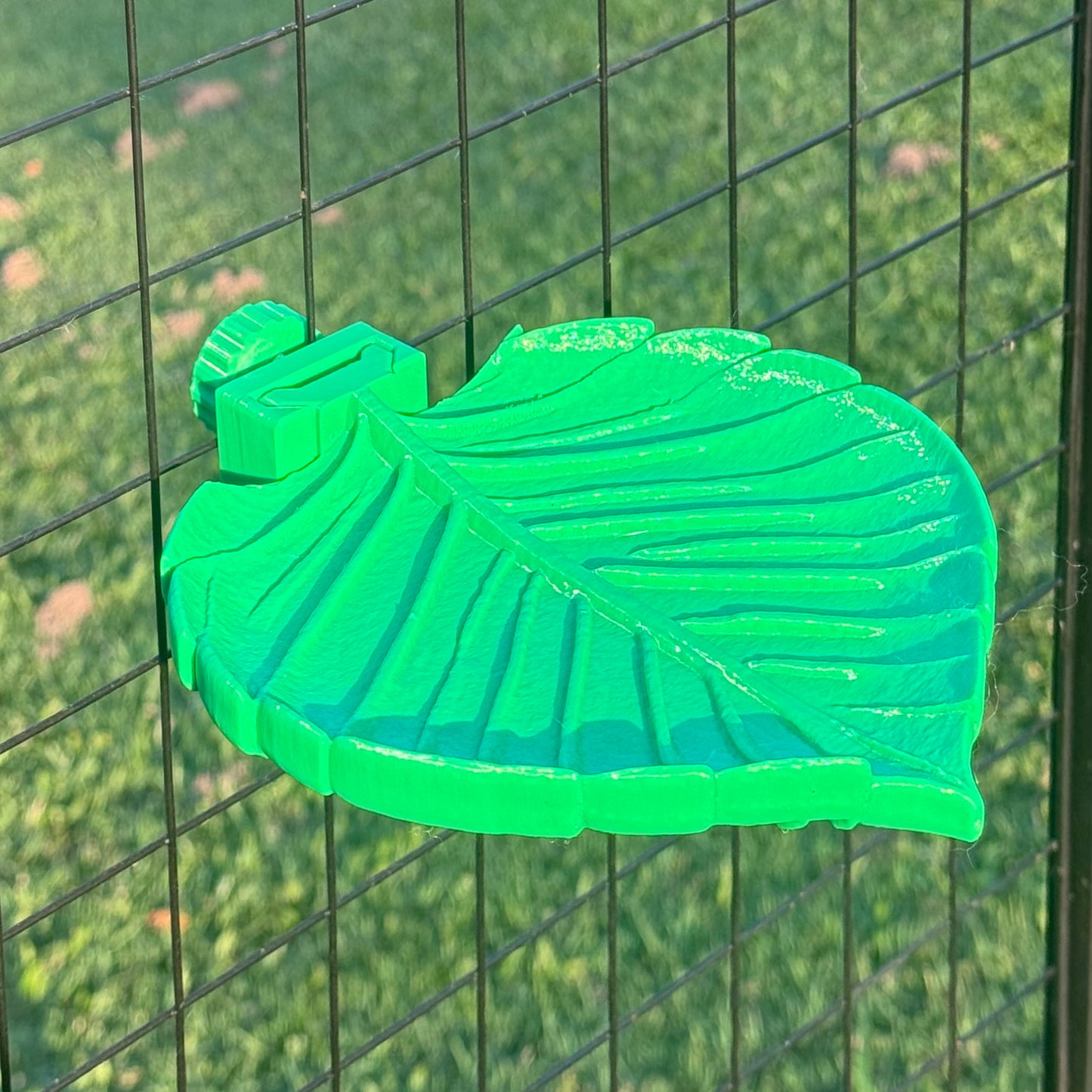 Tropical Leaf Shelf