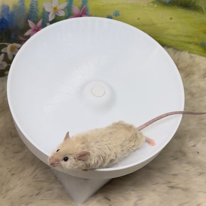 Mouse Saucer Wheel with House - 2-in-1 Exercise & Hideout
